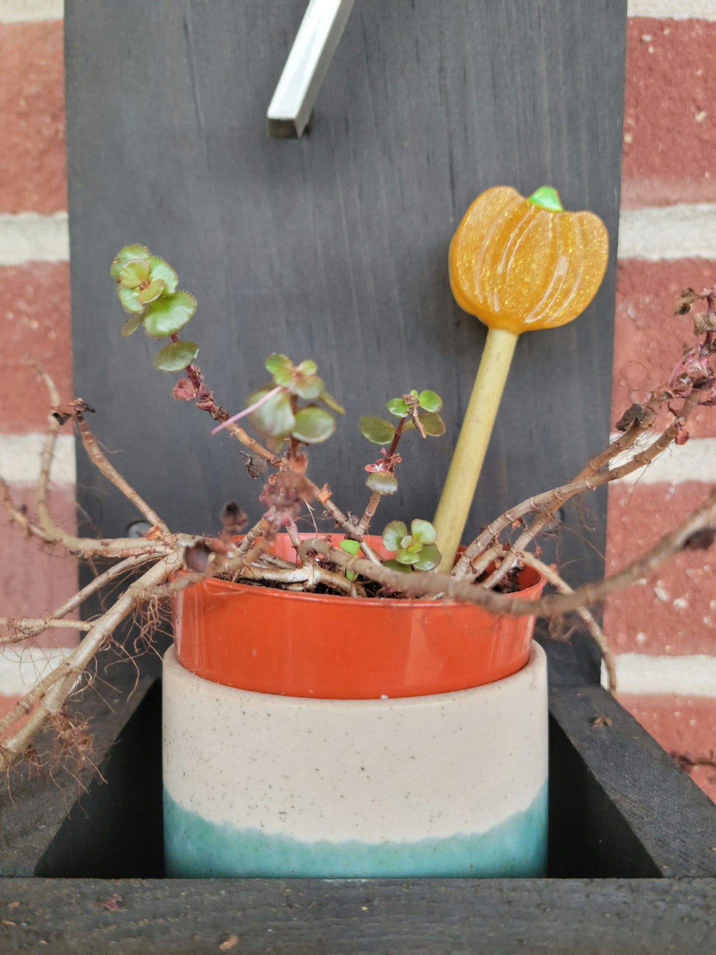 Plant Stake (Mini Pumpkin Varieties)