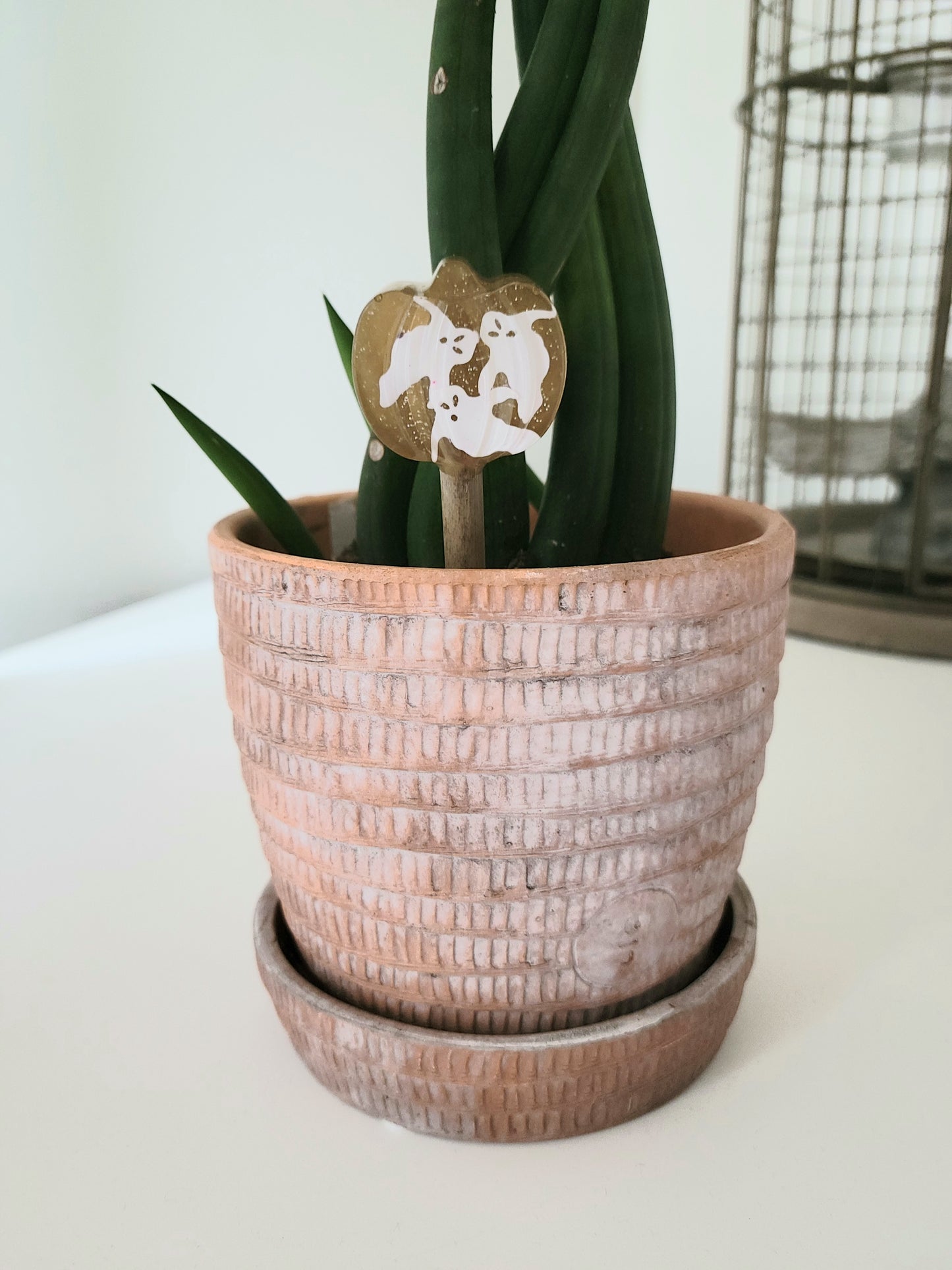 Plant Stake (Mini Pumpkin Varieties)