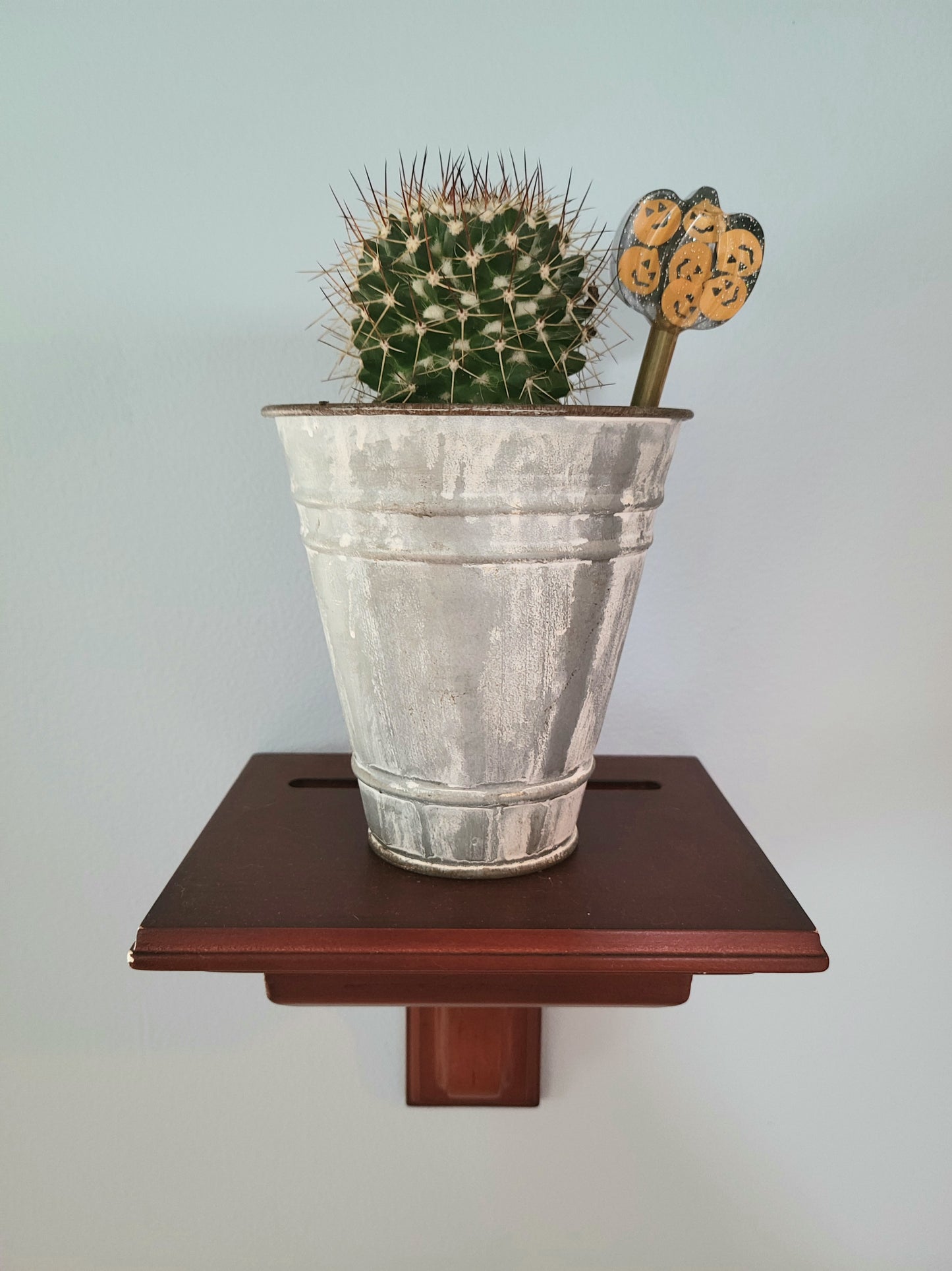 Plant Stake (Mini Pumpkin Varieties)