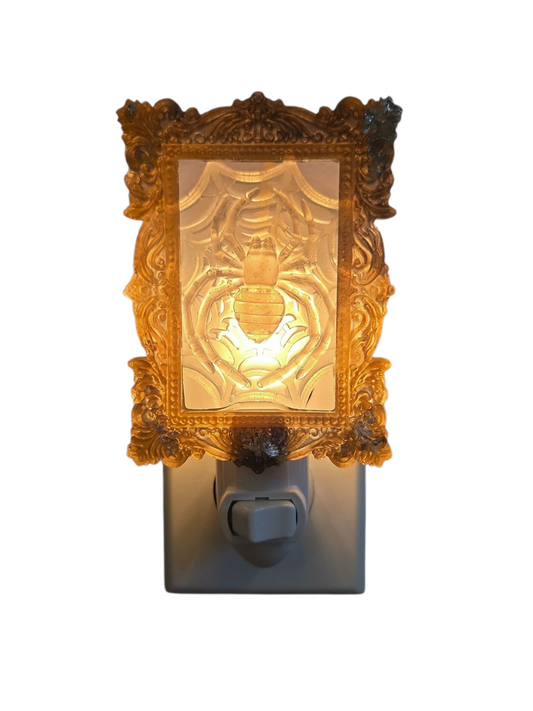 Spider in web (night light)