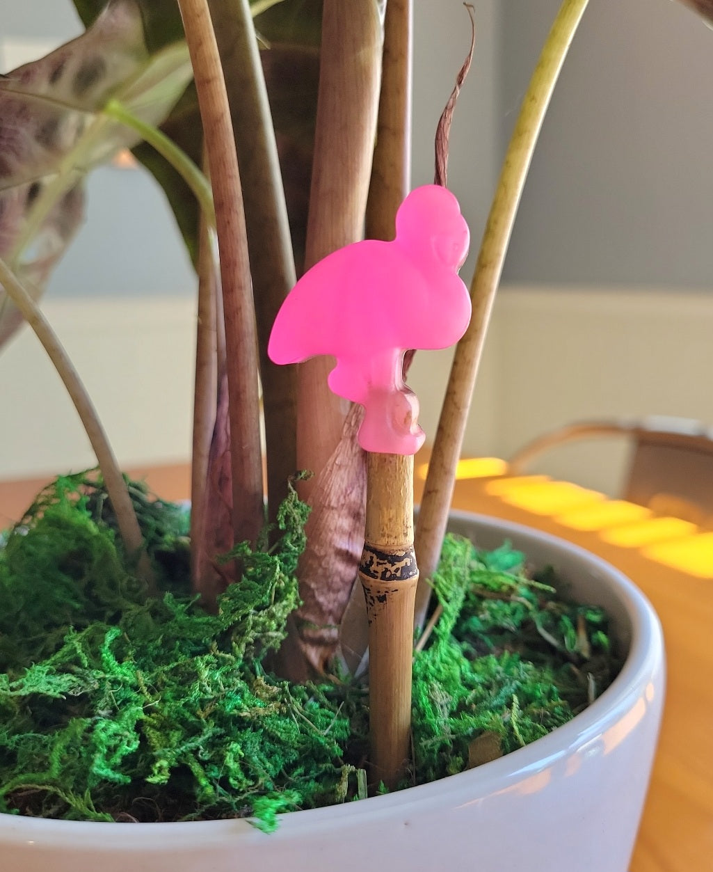 Plant Stake (Mini Flamingo varieties)