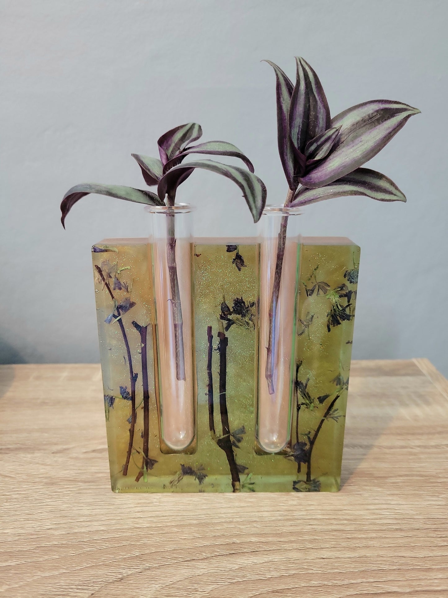 Propagation station (Plant)