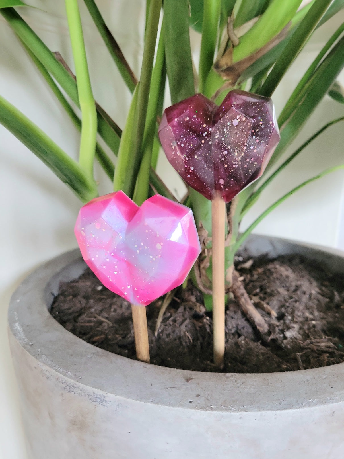 Plant decor stake (Galaxy)s