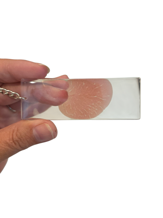 Blood slide key chain (Dexter inspired)