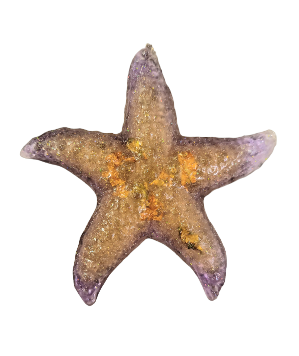 Suncatcher (Starfish Large) Barely keeping it together