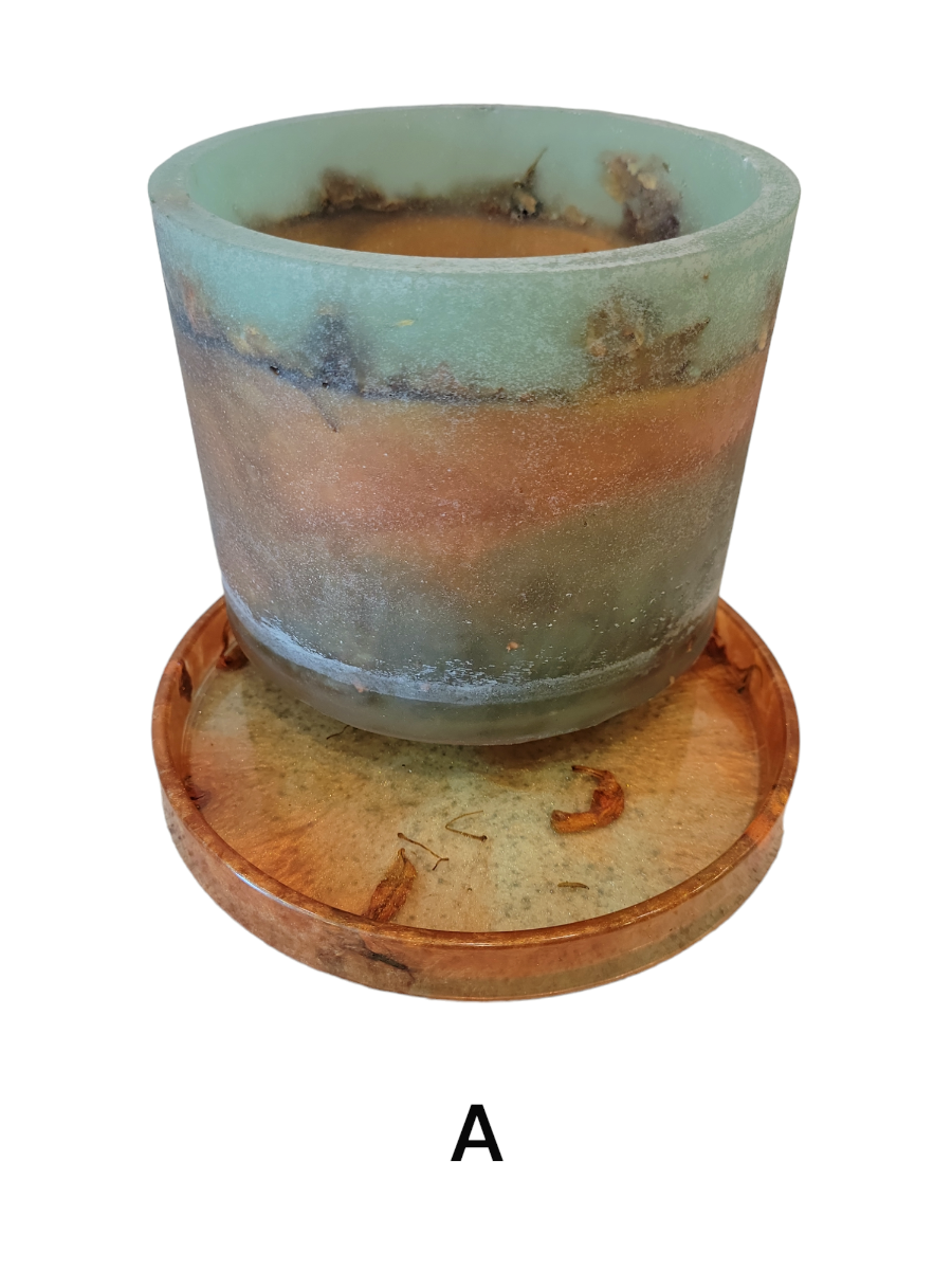 Pot & drainage tray (Plant cycle)