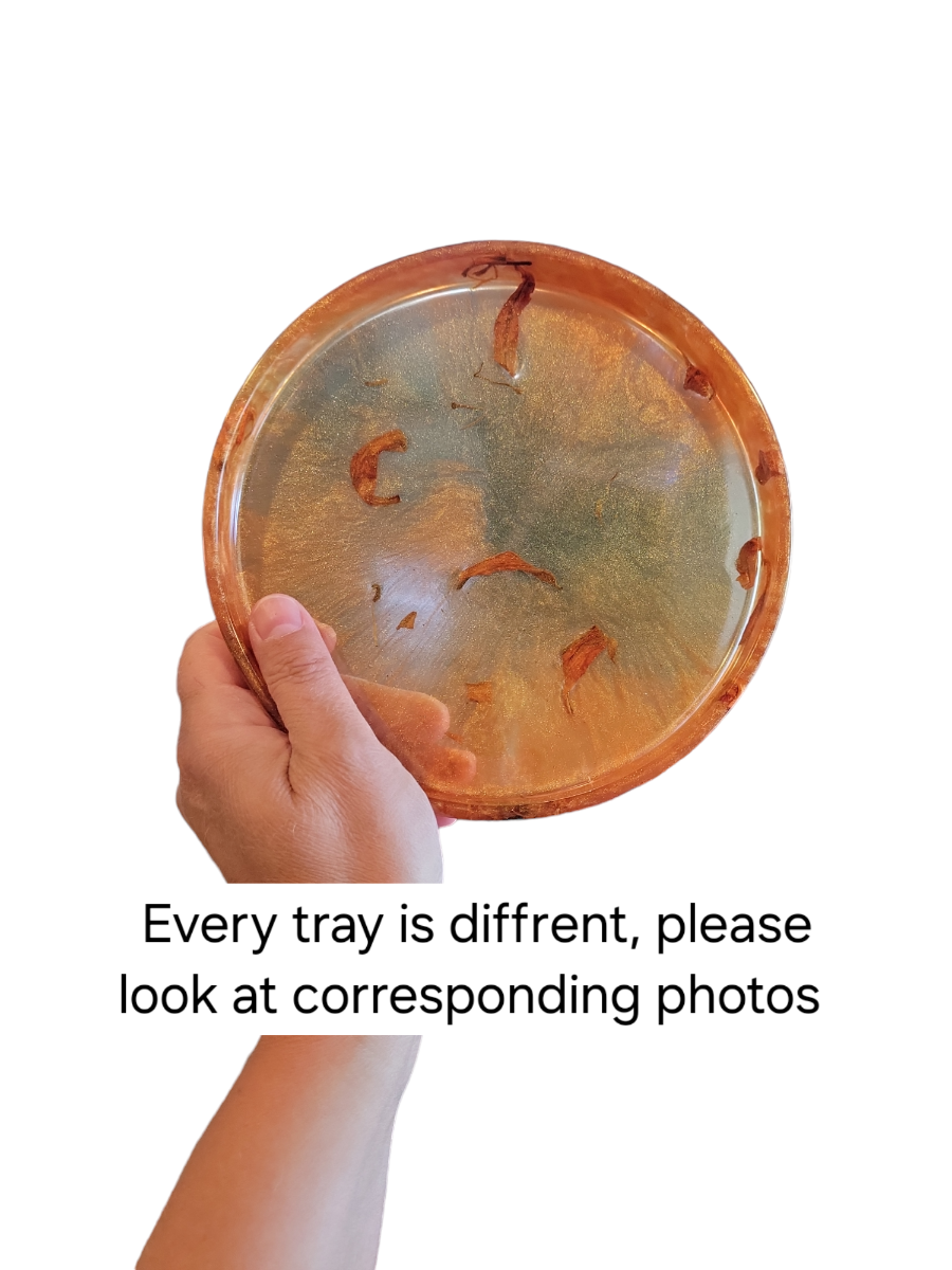 Pot & drainage tray (Plant cycle)