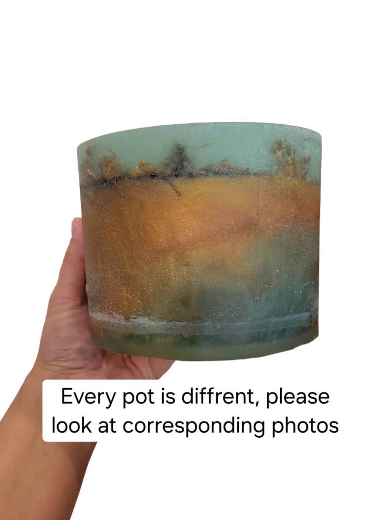 Pot & drainage tray (Plant cycle)