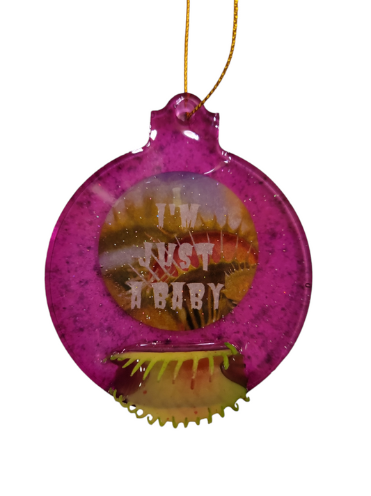 Little shop of horrors (I'm just a baby ornament)