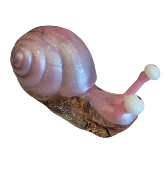 Snail art (Medium)
