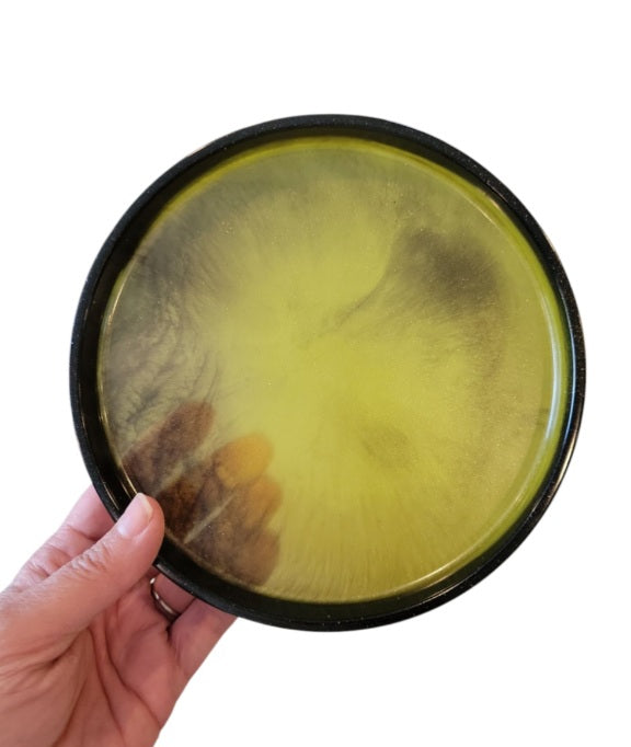 Angler fish bundle (pot, tray & plant stake)