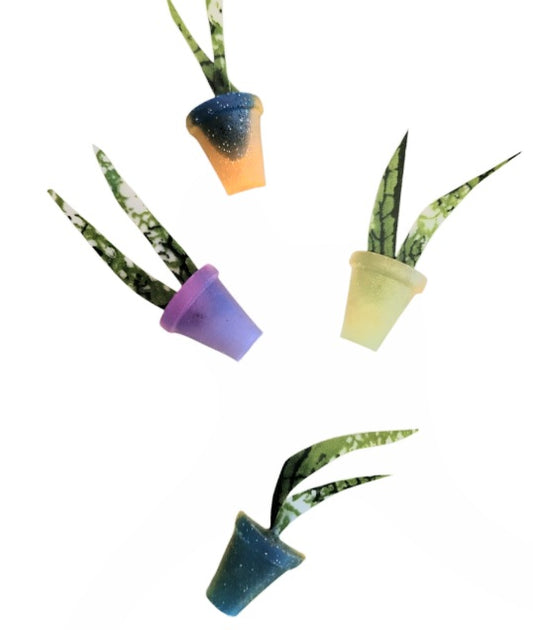 Snake plant (mini magnets)