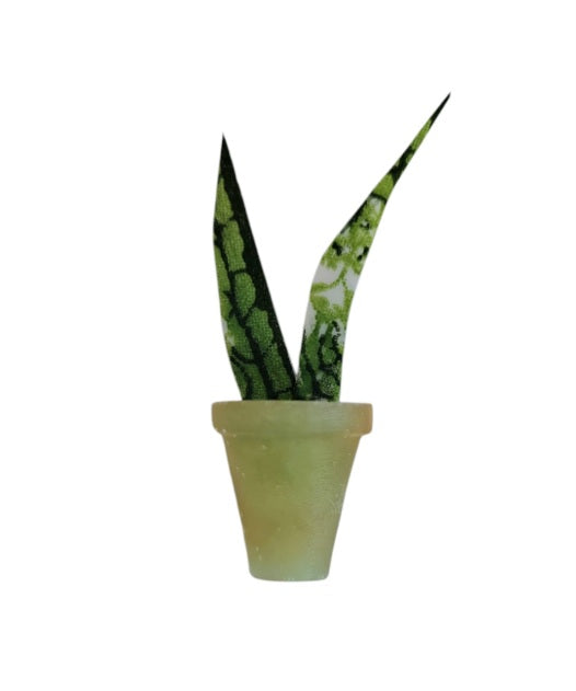 Snake plant (mini magnets)