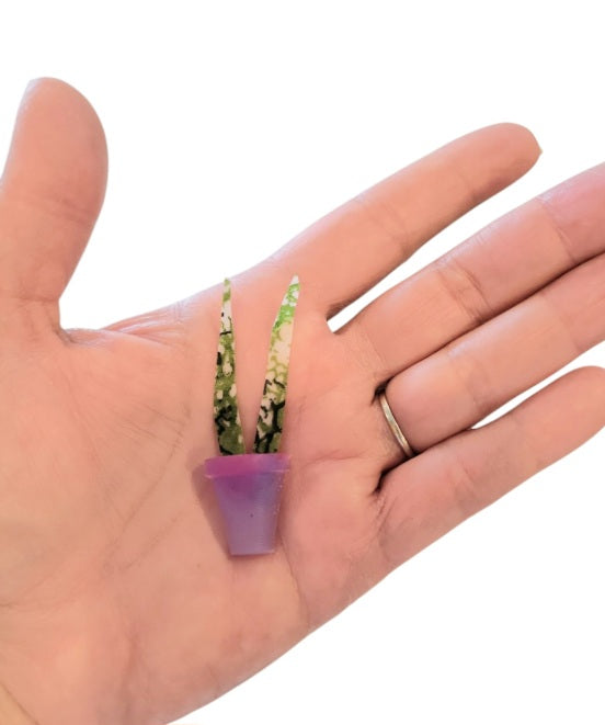 Snake plant (mini magnets)