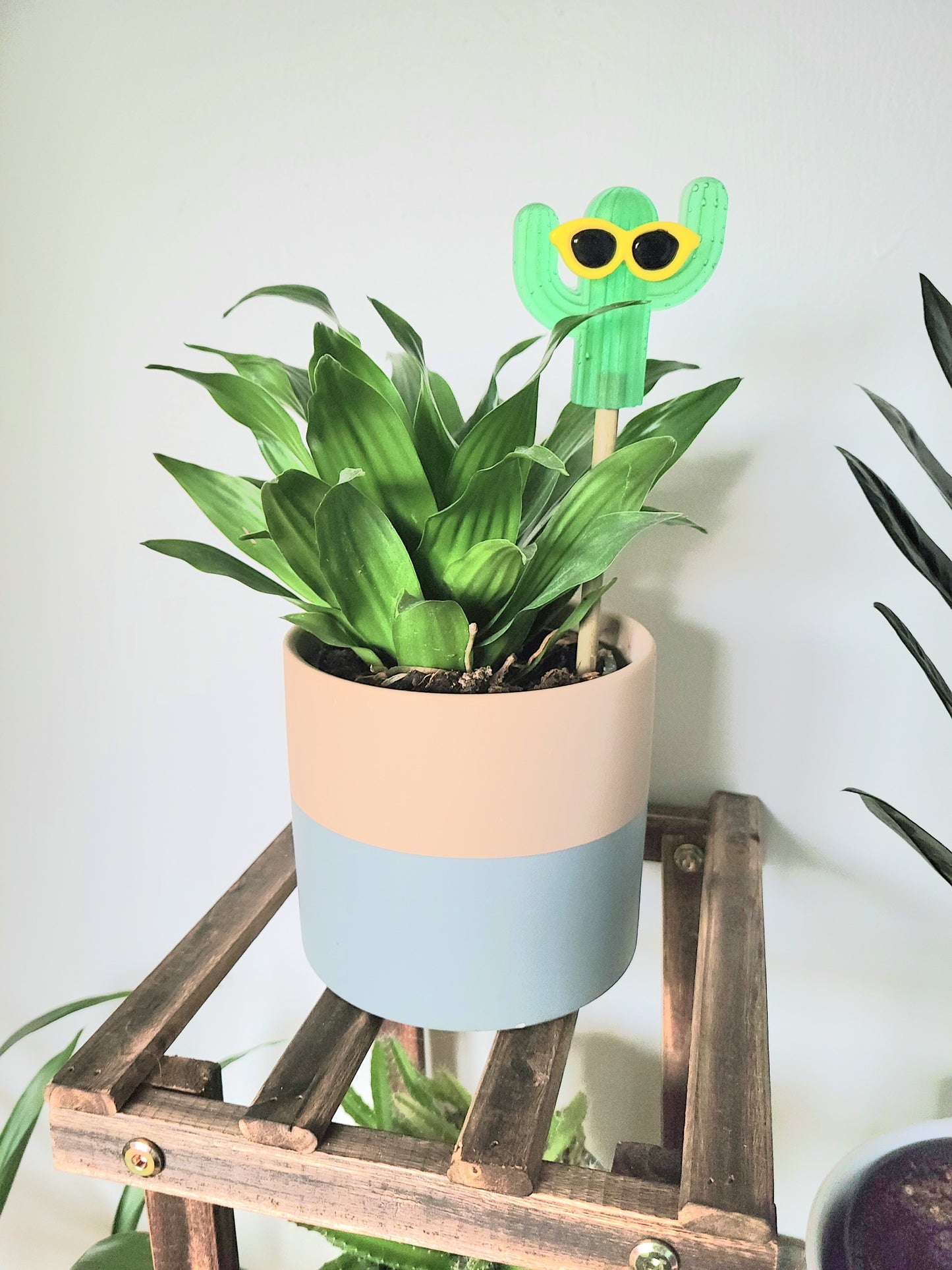 Plant decor stake (Cactus with sunglasses)