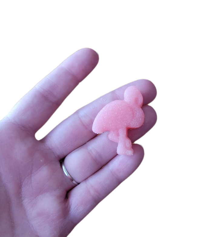 Gift Boxes (Tropical)