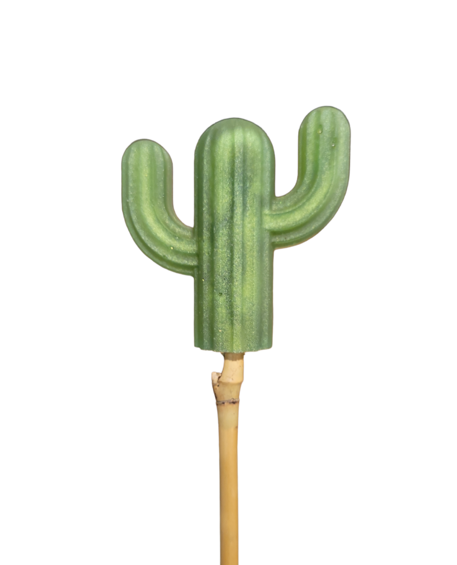 Plant decor stake (Cactus)