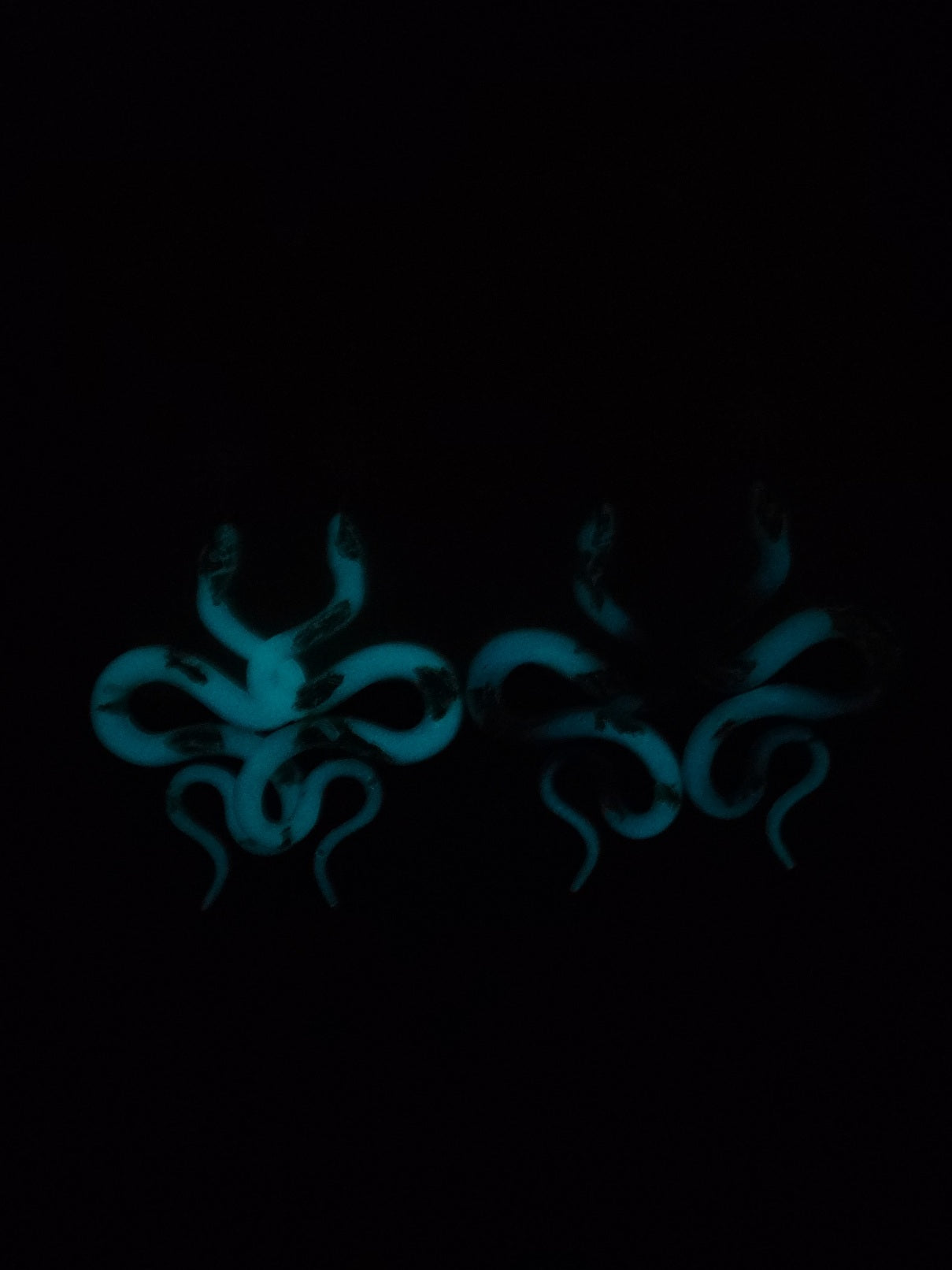 Snake earrings (Glow in the dark)