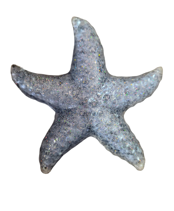 Suncatcher (Starfish Large) Barely keeping it together