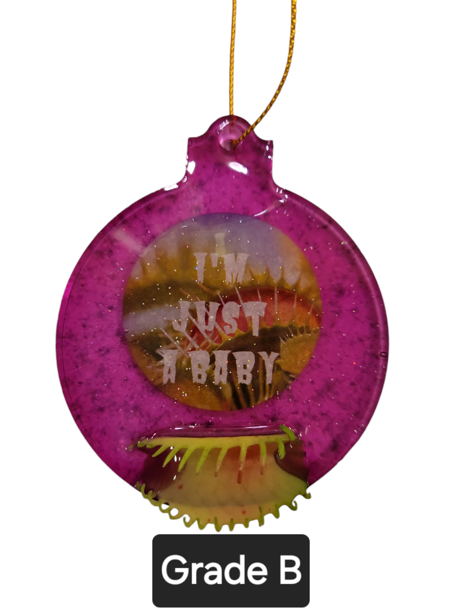 Little shop of horrors (I'm just a baby ornament)