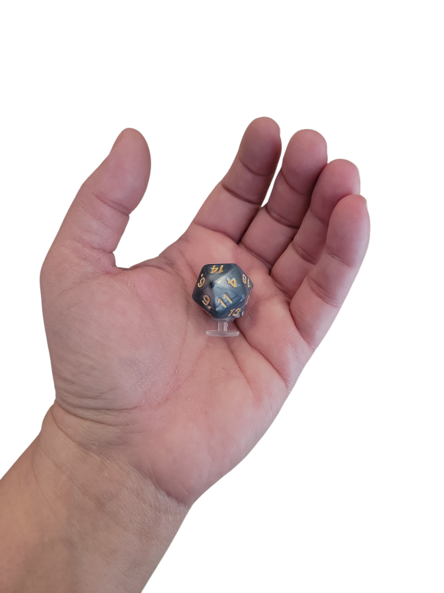 D 20 die (croc charm)